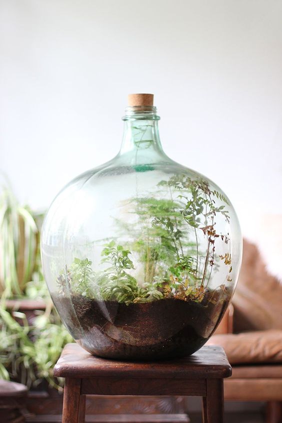 How to Make a Terrarium