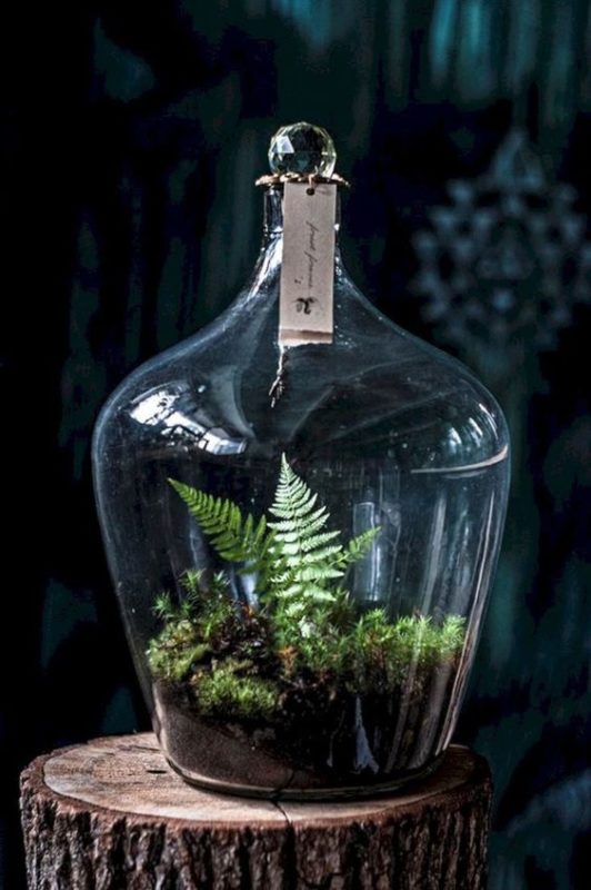 How to Make a Terrarium